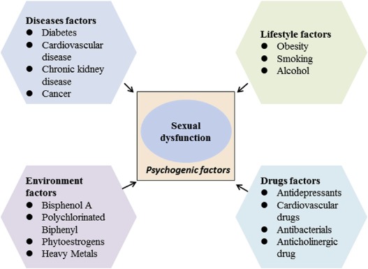 Alternative Therapies for Managing Sexual Dysfunction
