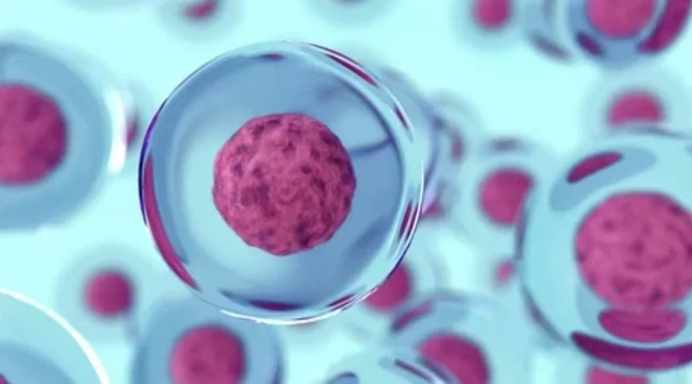 Fertility Preservation Options for Women: Egg Freezing and Beyond