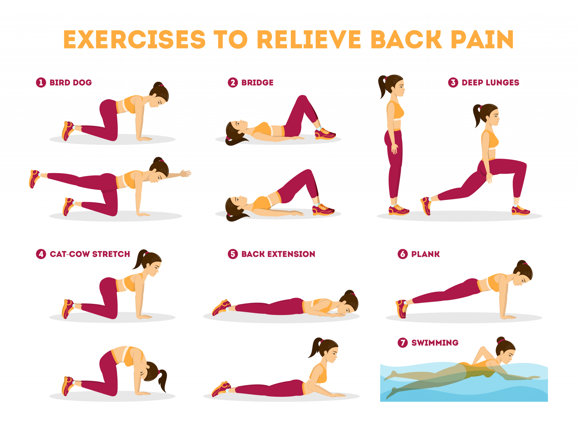 Effective Physical Therapy Exercises for Back Pain