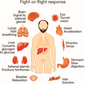 Stress and Diabetes: How to Manage Stress for Better Blood Sugar Control