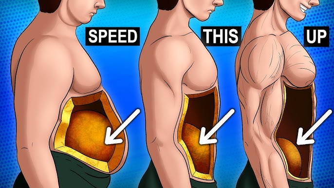 The Science of Weight Loss: How the Body Burns Fat