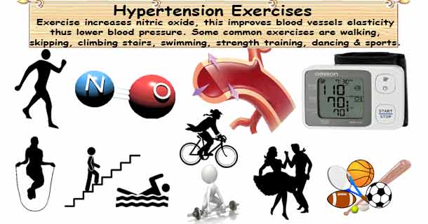 Exercise and Hypertension: How Physical Activity Lowers Blood Pressure