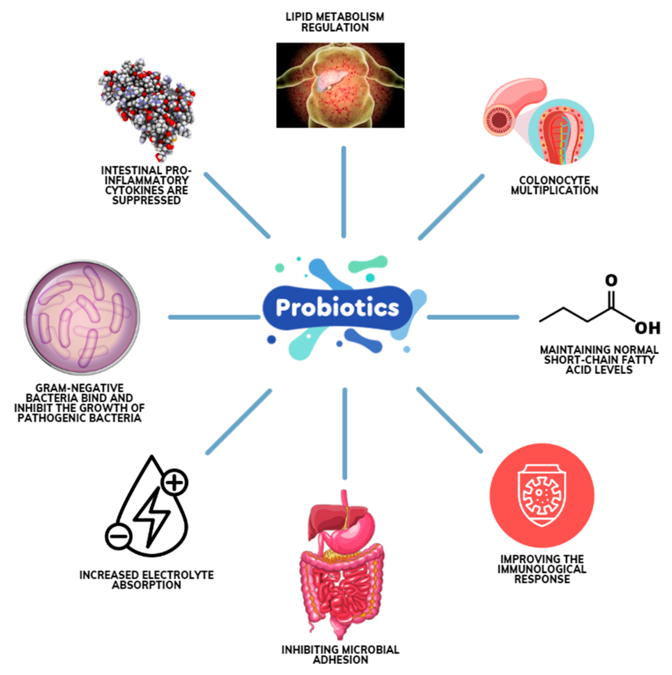 Probiotics and Their Role in Ulcer Recovery