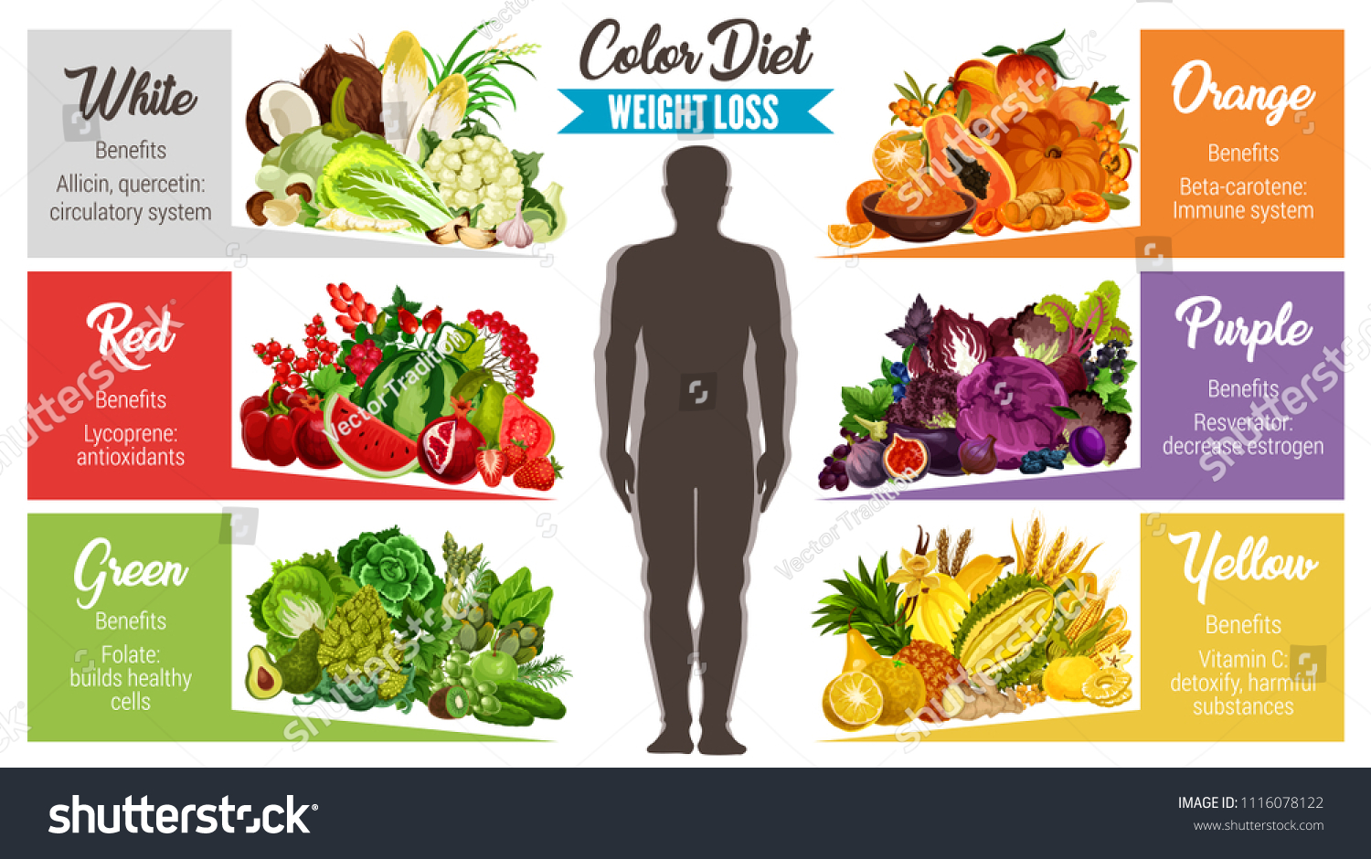 The Role of Diet in Weight Management