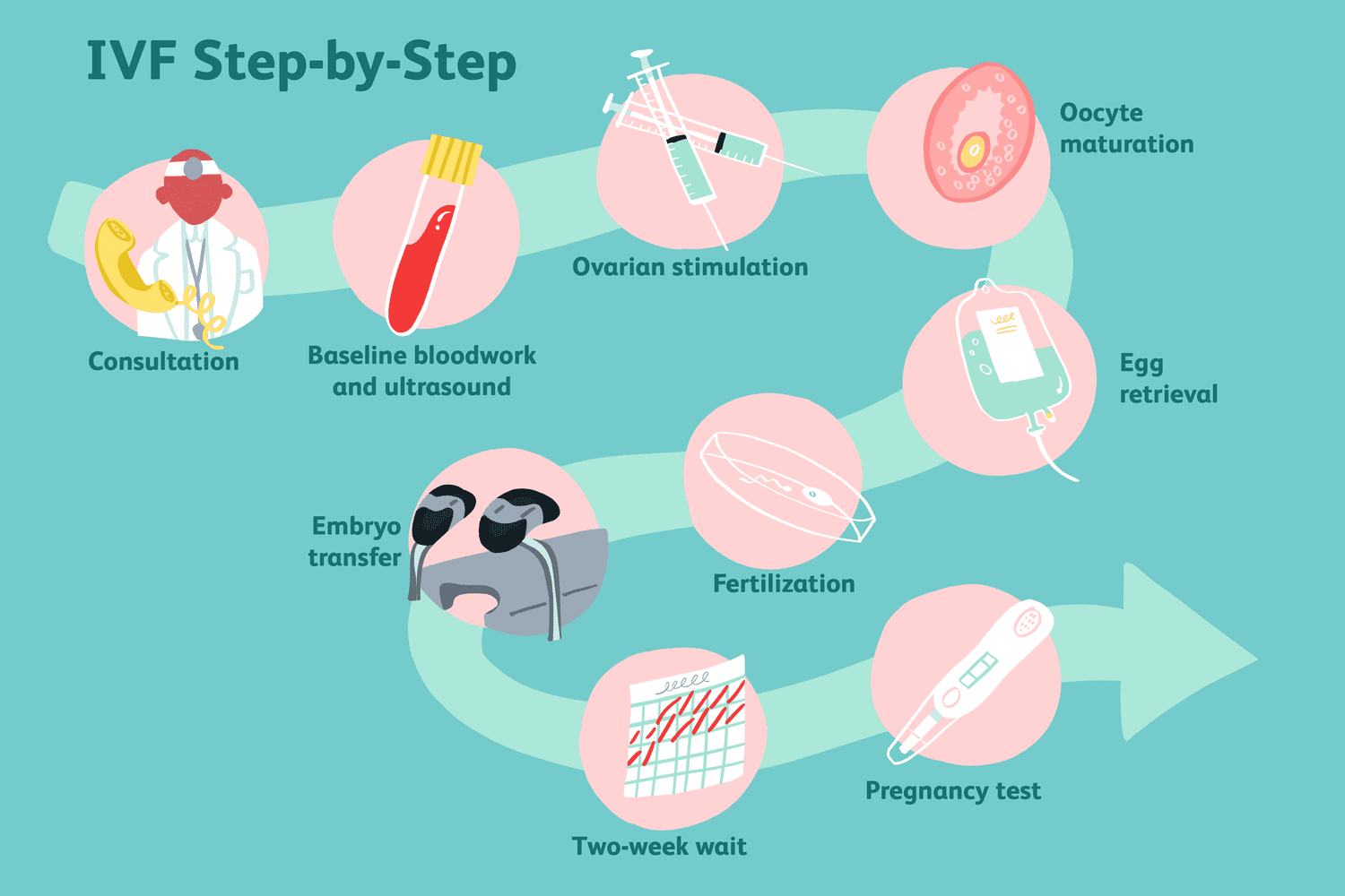 IVF Process Explained: What to Expect from Start to Finish
