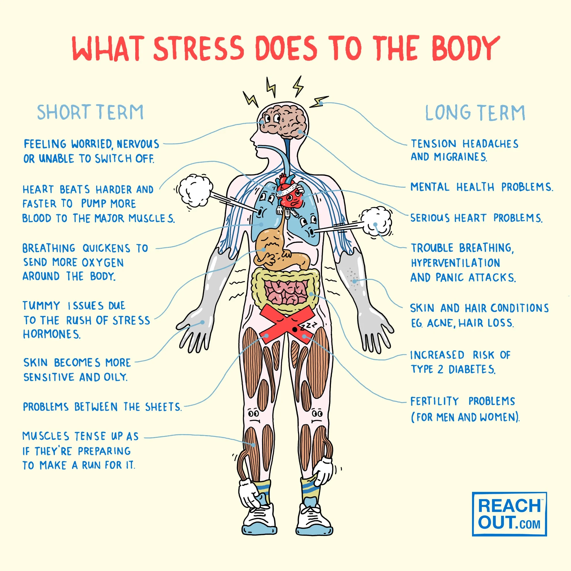 Can Stress Cause High Blood Pressure? The Mind-Body Connection